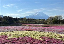 さかたにさんのブログ